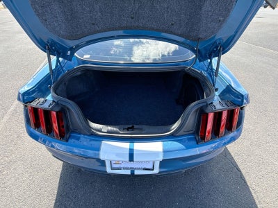 2019 Ford Mustang Shelby GT350