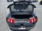 2011 Ford Mustang Shelby GT500