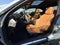 2023 BMW 2 Series M240i xDrive