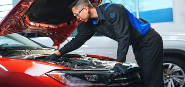 Dignifi | Gurnee Volkswagen in Gurnee IL