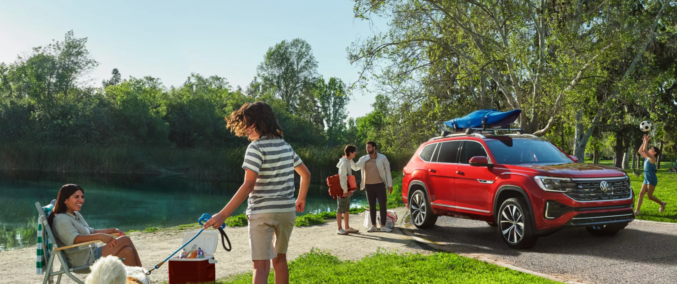 new volkswagen in a park